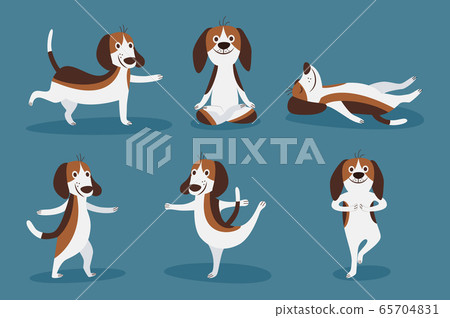 Beagle dog laying and playing set of flat cartoon vector illustrations isolated. Beagle dog laying and playing set of flat cartoon vector illustrations isolated. 65704831