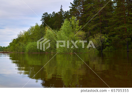 floodplain flooded during spring high water 65705355