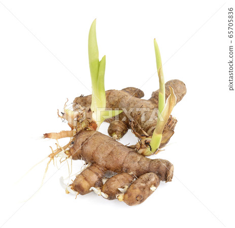 Fresh galangal isolated on white background. Fresh galangal isolated on white background. 65705836