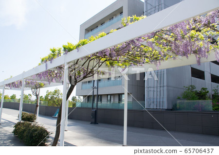 二子玉川 65706437