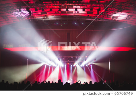 Spectators in the large concert hall. 65706749