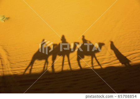 A caravan of camels. Desert in Morocco. A caravan of camels. Desert in Morocco. 65708854