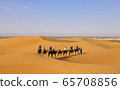 A caravan of camels. Desert in Morocco. 65708856