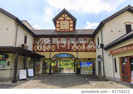 大阪府/豐收山/夏季/向日葵 65710222