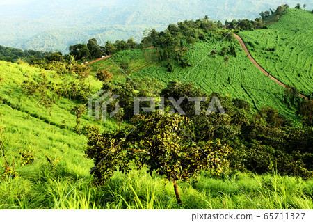 Kerala - The paradise of India Kerala - The paradise of India 65711327