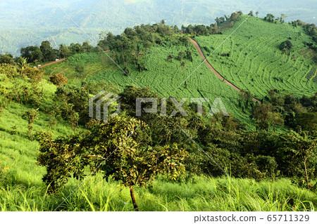 Palakkayam thattu - New tourist place of Kerala 65711329