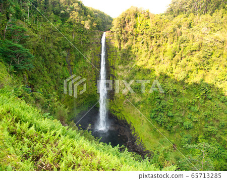 Akaka Falls State Park Waterfall on Hawaii Island, Hawaii, USA Akaka Falls State Park Waterfall on Hawaii Island, Hawaii, USA 65713285