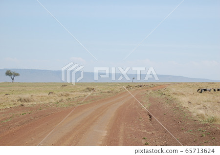 非洲大草原景觀，馬賽馬拉 65713624
