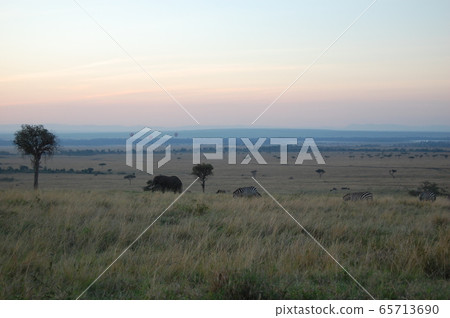 African savanna landscape, Masai Mara African savanna landscape, Masai Mara 65713690
