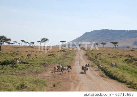 African savanna landscape, Masai Mara African savanna landscape, Masai Mara 65713693