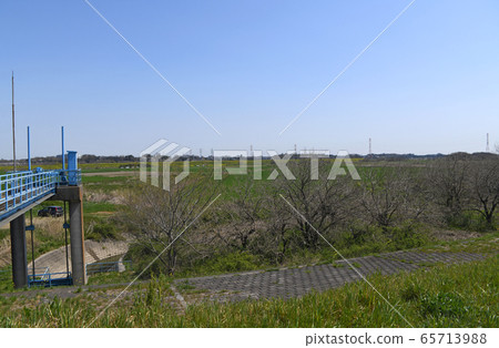 Around Toba Inuma Arakawa Riverbed Kawashima Town, Saitama Prefecture 65713988