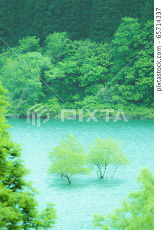 森林和湖泊 65714337