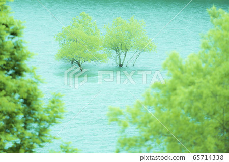 森林和湖泊 65714338