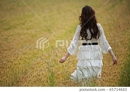 Barley Field, Barley Field, 65714683