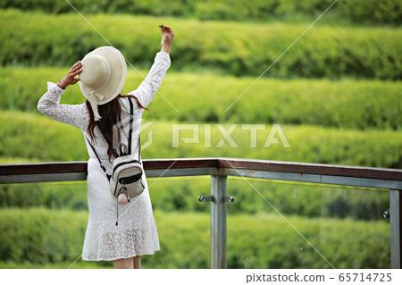 Spring Waltz, Green Tea Field Spring Waltz, Green Tea Field 65714725