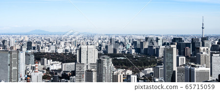 Tokyo Sky Tree and downtown area monotone 65715059