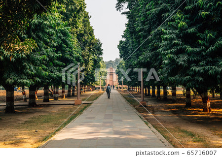 Green tree road at Sarnath Mulagandha Kuti Vihara monastery in Varanasi, India 65716007
