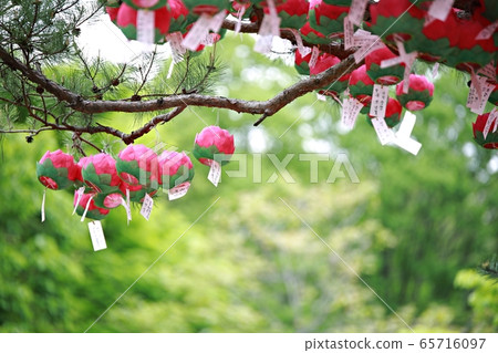 Buddha's Day, Buddha's Day 65716097