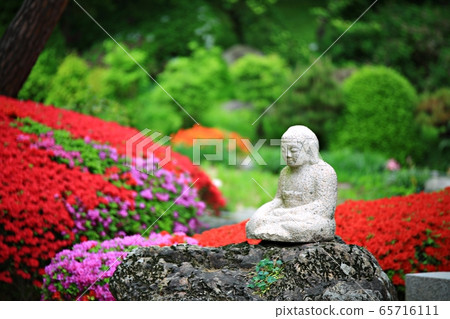 Buddha's Day, Buddha's Day Buddha's Day, Buddha's Day 65716111