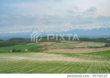 Prairie of Hokkaido Prairie of Hokkaido 65716120