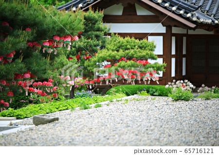 Buddha's Day, Buddha's Day Buddha's Day, Buddha's Day 65716121