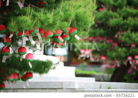 Buddha's Day, Buddha's Day Buddha's Day, Buddha's Day 65716221