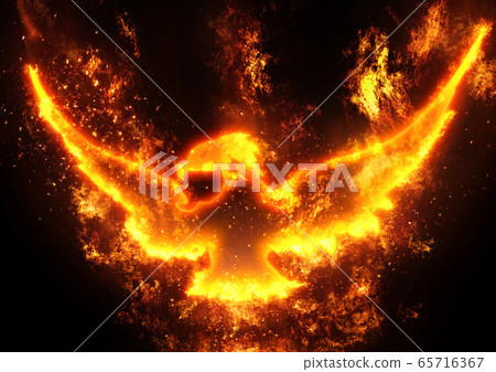 在黑暗中飄揚的抽象火鳥 65716367