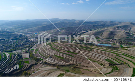 Aerial view of terraced farm field mass production during summer dry season 65716678