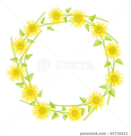 向日葵的框架 65716821