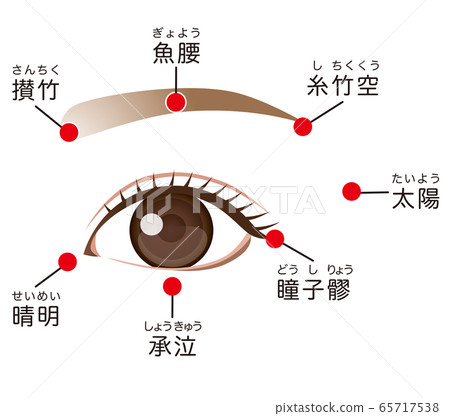 眼疲勞的穴位 65717538