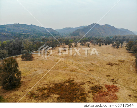 Aerial view of yellow dry grass land and dark trees after big hot summer season without rain. 65717544