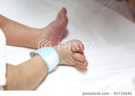 新生兒腳 新生兒腳 65718046