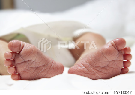 新生兒腳 65718047