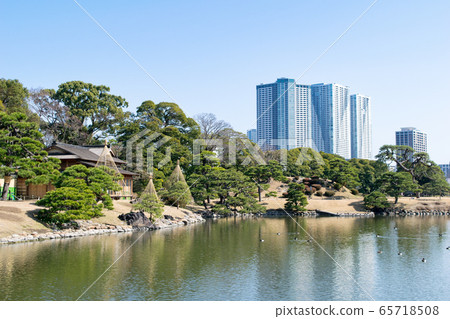 Near the Imperial Villa Oizumi and Matsu no Chaya, Tokyo 65718508