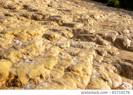 Yellow Dragon 65718576