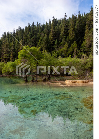 Yellow Dragon 65718577