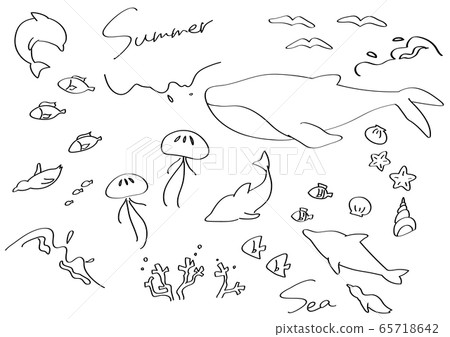 優雅的海洋生物線描插圖集 65718642