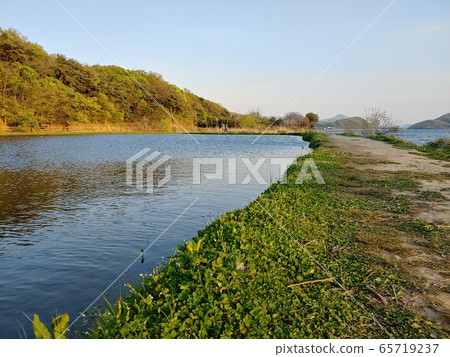 Landscape, Natural Landscape, River Landscape, Spring Landscape, Landscape Photography, Nature, Natural Environment, Nature Image, Mountain, Tree, Forest, River, Sky, Trail 65719237