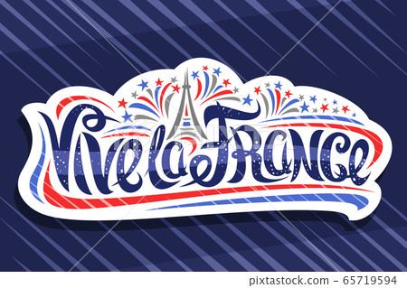 Vector french slogan Vive la France 65719594