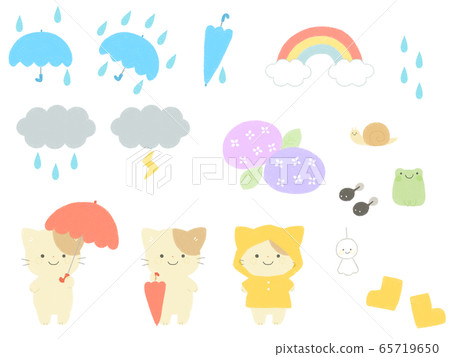Rainy season cat 65719650