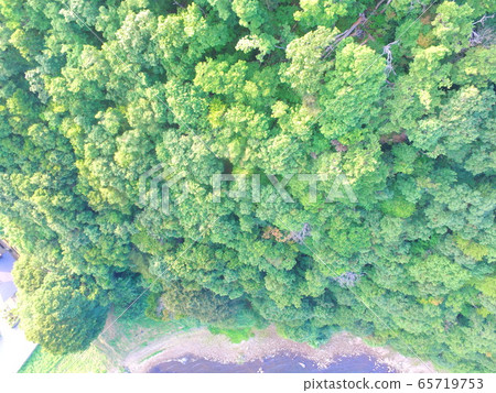 在山林〜無人機拍攝的空中拍攝(豬苗代湖·西岸/會津若松市,福島縣,赤井字屋) 在山林〜無人機拍攝的空中拍攝(豬苗代湖·西岸/會津若松市,福島縣,赤井字屋) 65719753
