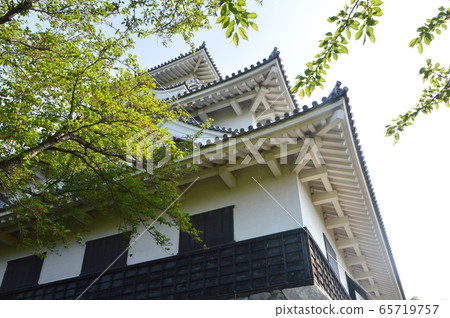 Looking up at the castle tower of Nagahama Castle from among the fresh green (Nagahama Park City, Shiga Prefecture) 65719757