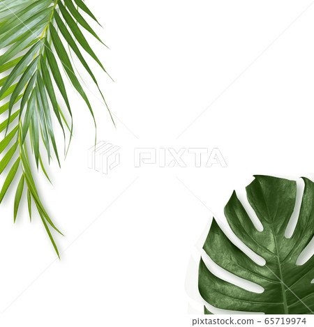 Summer background Tropical frame Summer concept background 65719974