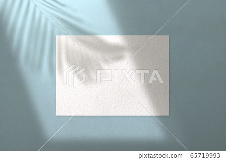Summer background Tropical shadow shadow overlay mock-up, summer concept background 65719993