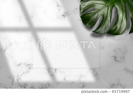 Summer background Tropical shadow shadow overlay mock-up, summer concept background 65719997