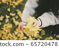 Ginkgo biloba 65720478