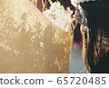 Dried flower  65720485