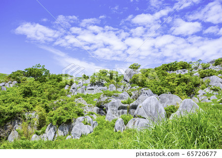 Beautiful scenery of Hiraodai Beautiful scenery of Hiraodai 65720677