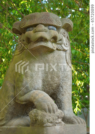 Minuma field farm: Nakayama Shrine, guardian dog 65720899