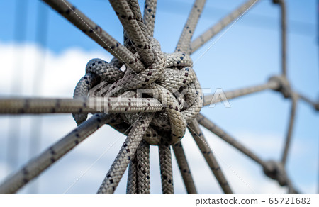 many ropes and one big knot close up many ropes and one big knot close up 65721682